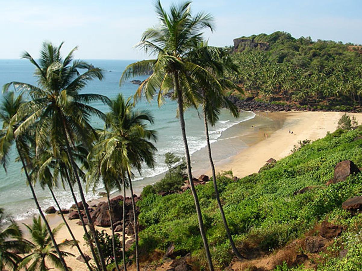 Blue Lagoon Resort Goa Cola Dış mekan fotoğraf